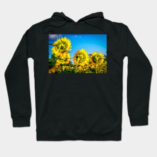 Sunflowers 4 Hoodie